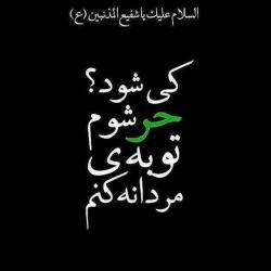 تصویر یا زینب کبری