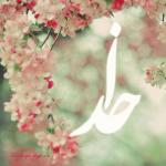 تصویر محی الدین