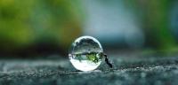 تصویر روح سبز