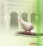 تصویر ((KHoonashame Mehrabon))
