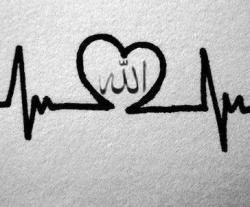 تصویر ++Hadi++