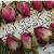 تصویر آیـــنـــور