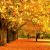 تصویر Alireza_g